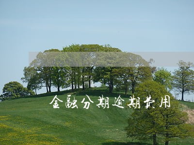 金融分期逾期费用 金融分期逾期费用