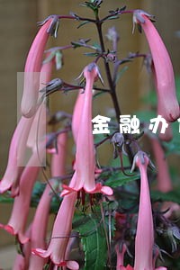 金融办信用卡逾期 金融办信用卡逾期