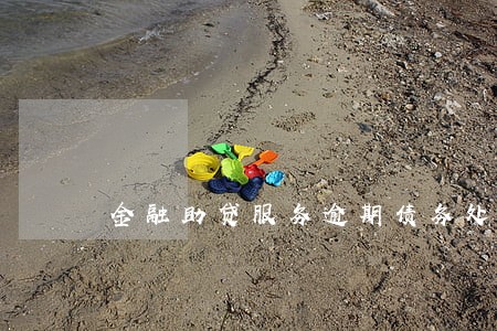 金融助贷服务逾期债务处理 金融助贷服务逾期债务处理