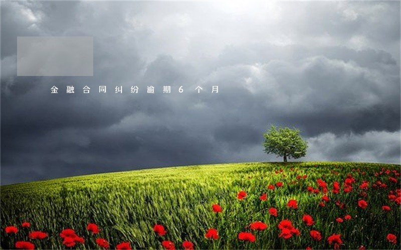 金融合同纠纷逾期6个月