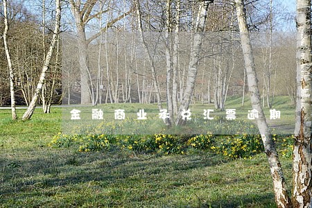 金融商业承兑汇票逾期