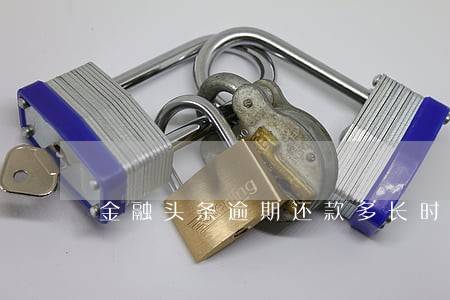 金融头条逾期还款多长时间更新