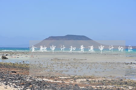 金融审计和普通审计的区别 金融审计和普通审计的区别
