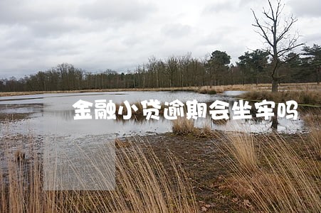 金融小贷逾期会坐牢吗