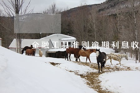 金融工具准则逾期利息收入
