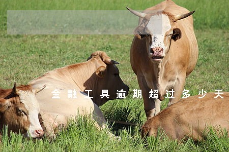 金融工具逾期超过多少天算是违约