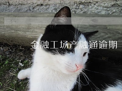 金融工场产融通逾期