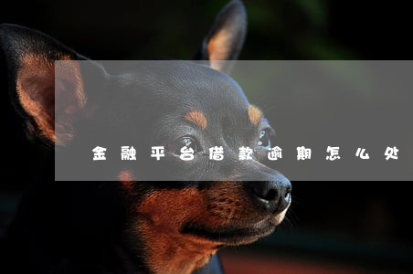 金融平台借款逾期怎么处理