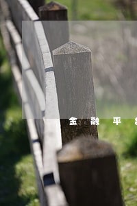 金融平台全部逾期也不发标