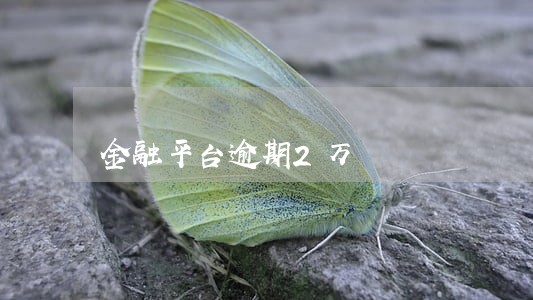 金融平台逾期2万 金融平台逾期2万