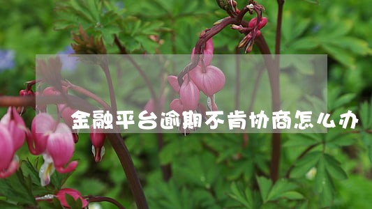 金融平台逾期不肯协商怎么办