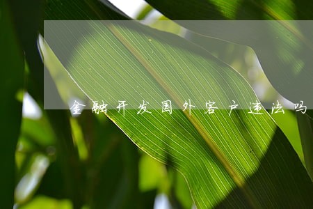 金融开发国外客户违法吗