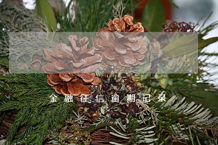 金融征信逾期记录