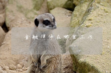 金融律师在哪里工作 金融律师在哪里工作