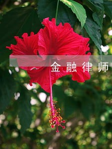 金融律师证怎么 金融律师证怎么