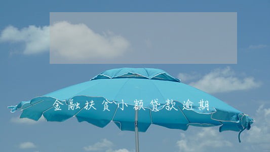 金融扶贫小额贷款逾期 金融扶贫小额贷款逾期