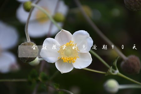 金融投资利息逾期90天转表外 金融投资利息逾期90天转表外