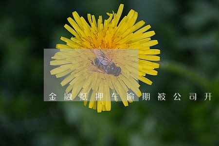 金融抵押车逾期被公司开走了