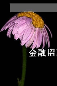 金融招联逾期