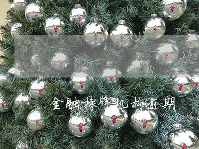 金融持牌机构逾期