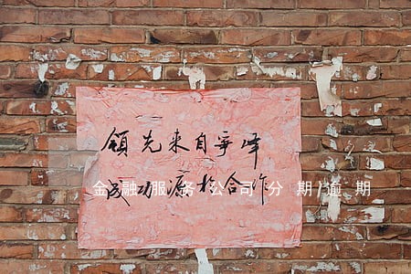 金融服务公司分期逾期