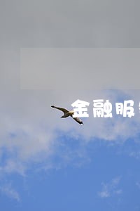 金融服务客户逾期