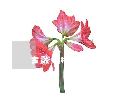 金融机构90天逾期利息银监文件