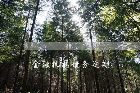 金融机构债务逾期