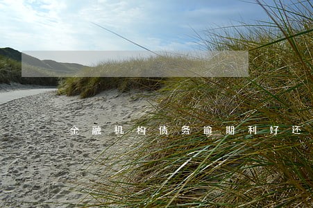 金融机构债务逾期利好还是利空