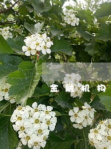 金融机构分期贷款逾期会坐牢吗