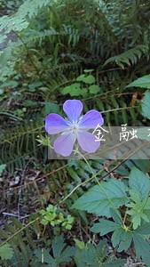 金融机构利息收入逾期三个月