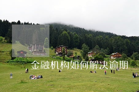 金融机构如何解决逾期 金融机构如何解决逾期