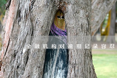 金融机构对逾期记录容忍 金融机构对逾期记录容忍