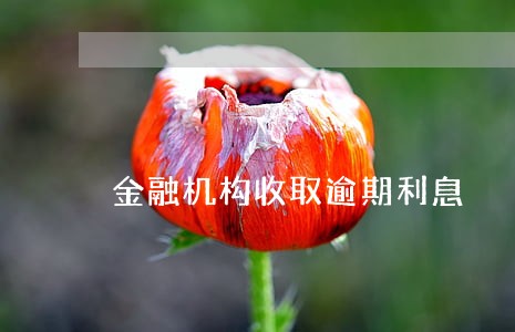 金融机构收取逾期利息