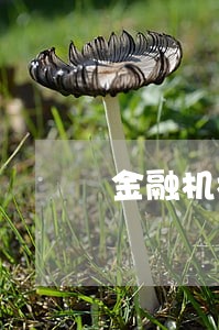金融机构收取逾期贷款计算办法 金融机构收取逾期贷款计算办法