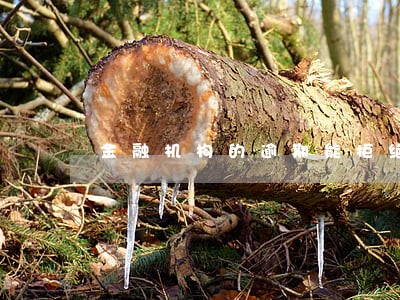 金融机构的逾期能拒绝外委对接吗