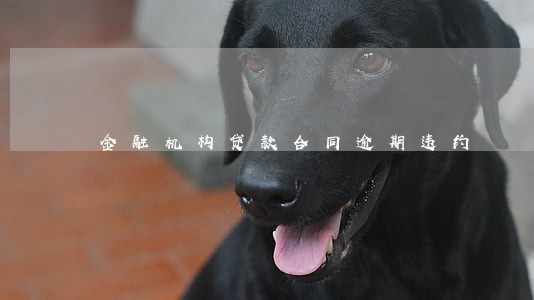 金融机构贷款合同逾期违约 金融机构贷款合同逾期违约