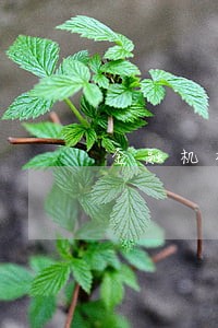 金融机构贷款逾期利率表