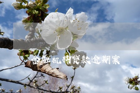 金融机构贷款逾期案 金融机构贷款逾期案