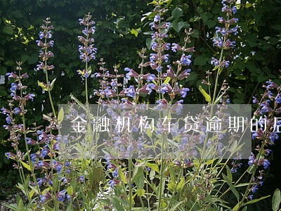 金融机构车贷逾期的后果