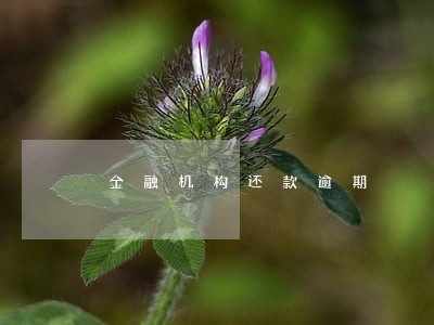 金融机构还款逾期