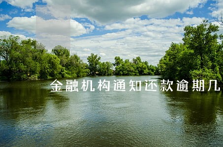 金融机构通知还款逾期几个月
