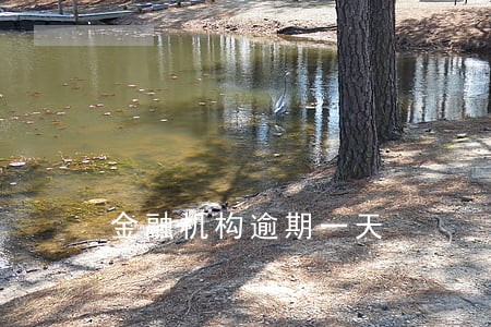 金融机构逾期一天