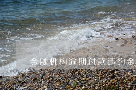 金融机构逾期付款违约金最新规定