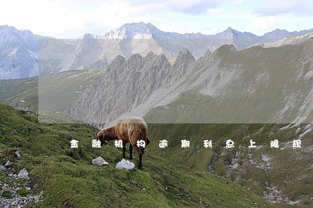 金融机构逾期利息上限规定
