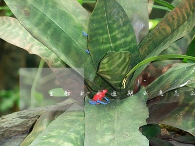 金融机构逾期利息怎么算 金融机构逾期利息怎么算
