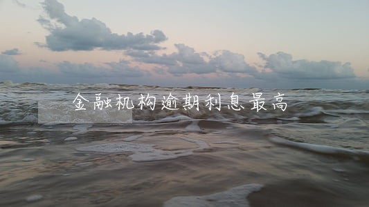 金融机构逾期利息最高 金融机构逾期利息最高
