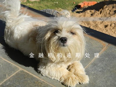 金融机构逾期处理