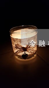 金融机构逾期客户数据分析 金融机构逾期客户数据分析