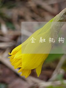 金融机构逾期怎么办 金融机构逾期怎么办